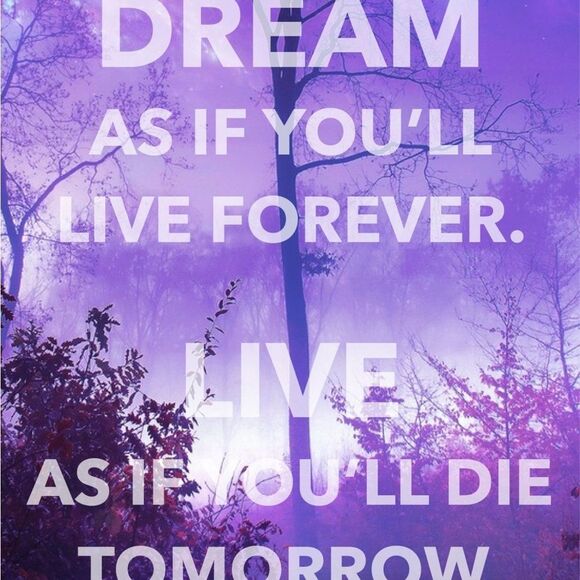 NWT Harmony Bell Necklace - Picture 11 of 11